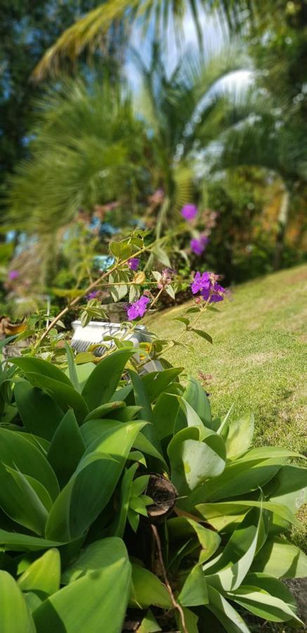 Pousada Guaruja Bombinhas Zewnętrze zdjęcie
