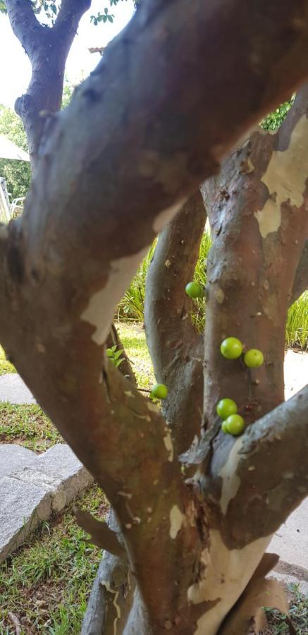 Pousada Guaruja Bombinhas Zewnętrze zdjęcie