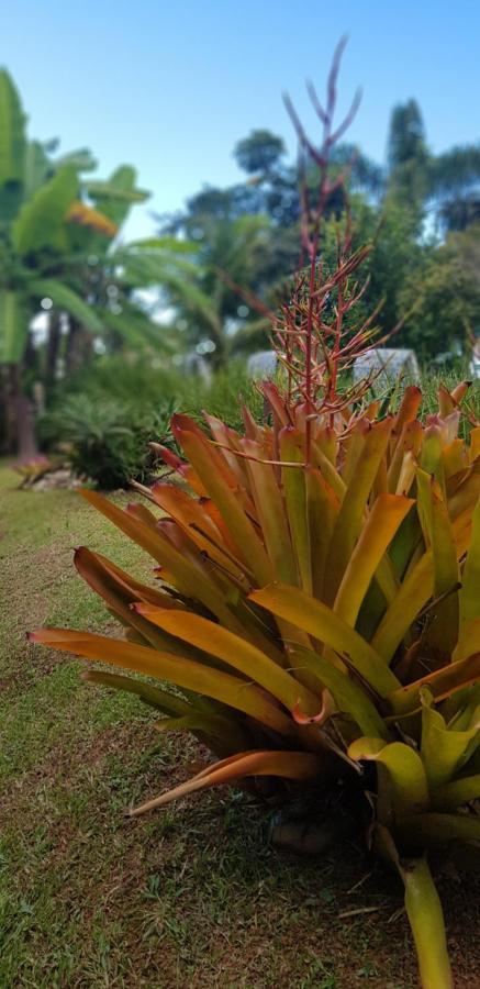Pousada Guaruja Bombinhas Zewnętrze zdjęcie
